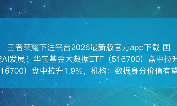 王者荣耀下注平台2026最新版官方app下载 国度层面初次！数据赋能AI发展！华宝基金大数据ETF（516700）盘中拉升1.9%，机构：数据身分价值有望开释
