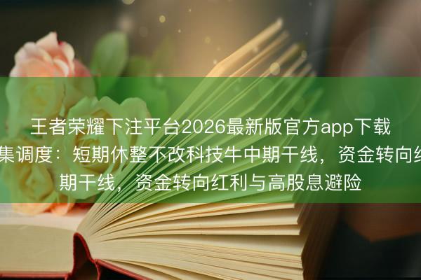 王者荣耀下注平台2026最新版官方app下载 多家公募领路市集调度:短期休整不改科技牛中期干线,资金转向红利与高股息避险