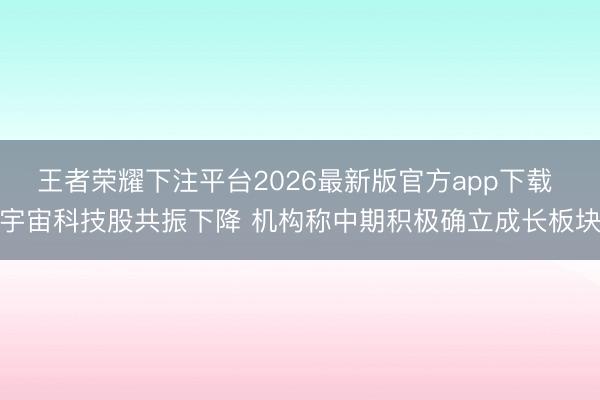 王者荣耀下注平台2026最新版官方app下载 宇宙科技股共振下降 机构称中期积极确立成长板块