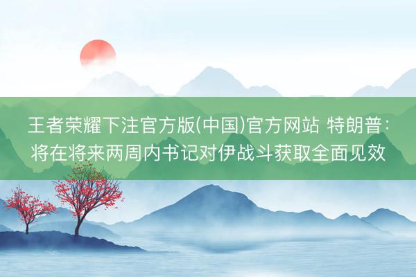 王者荣耀下注官方版(中国)官方网站 特朗普：将在将来两周内书记对伊战斗获取全面见效