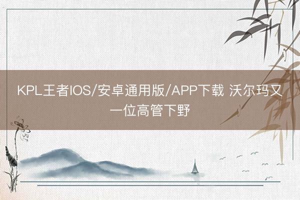 KPL王者IOS/安卓通用版/APP下载 沃尔玛又一位高管下野