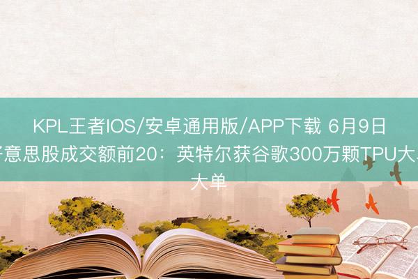 KPL王者IOS/安卓通用版/APP下载 6月9日好意思股成交额前20：英特尔获谷歌300万颗TPU大单