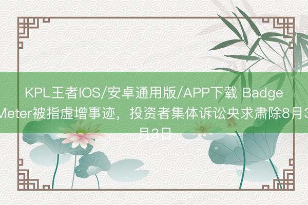 KPL王者IOS/安卓通用版/APP下载 Badger Meter被指虚增事迹,投资者集体诉讼央求肃除8月3日