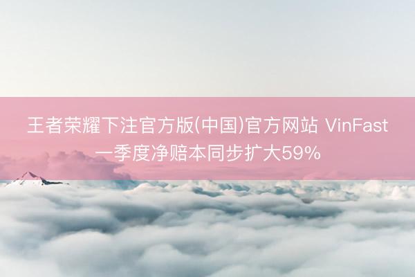 王者荣耀下注官方版(中国)官方网站 VinFast一季度净赔本同步扩大59%