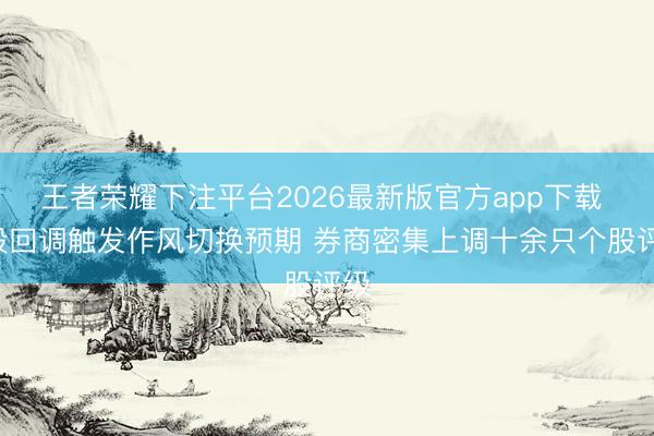 王者荣耀下注平台2026最新版官方app下载 A股回调触发作风切换预期 券商密集上调十余只个股评级