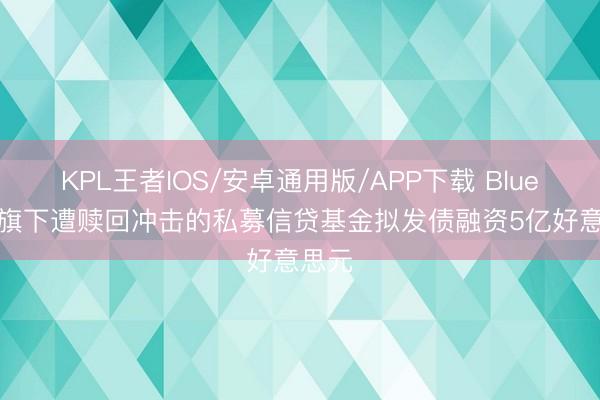 KPL王者IOS/安卓通用版/APP下载 Blue Owl旗下遭赎回冲击的私募信贷基金拟发债融资5亿好意思元