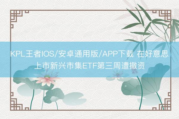 KPL王者IOS/安卓通用版/APP下载 在好意思上市新兴市集ETF第三周遭撤资