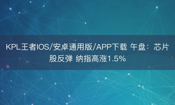 KPL王者IOS/安卓通用版/APP下载 午盘：芯片股反弹 纳指高涨1.5%