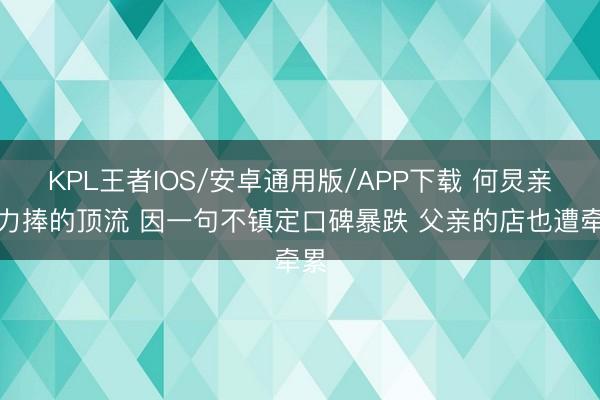 KPL王者IOS/安卓通用版/APP下载 何炅亲手力捧的顶流 因一句不镇定口碑暴跌 父亲的店也遭牵累