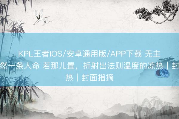 KPL王者IOS/安卓通用版/APP下载 无主犬只亦然一条人命 若那儿置，折射出法则温度的凉热｜封面指摘