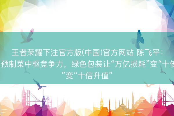 王者荣耀下注官方版(中国)官方网站 陈飞平:保鲜是预制菜中枢竞争力,绿色包装让“万亿损耗”变“十倍升值”