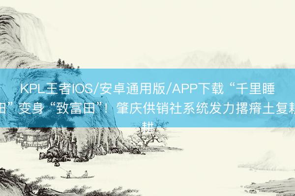 KPL王者IOS/安卓通用版/APP下载 “千里睡田” 变身 “致富田”！肇庆供销社系统发力撂瘠土复耕